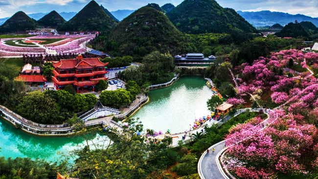 贵州醇.jpg